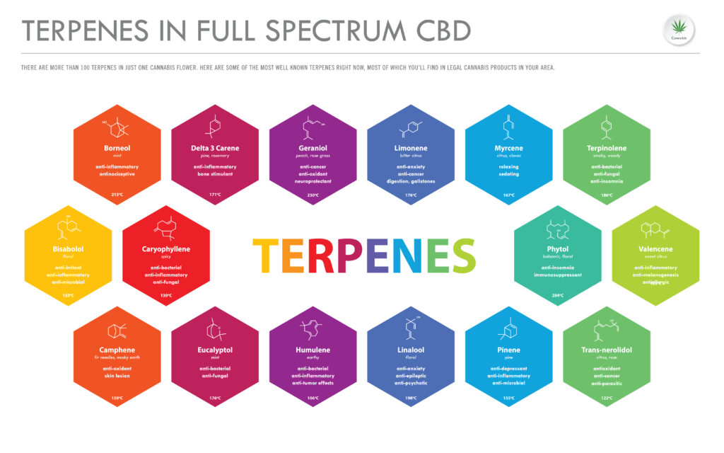 Terpenes in Cannabis