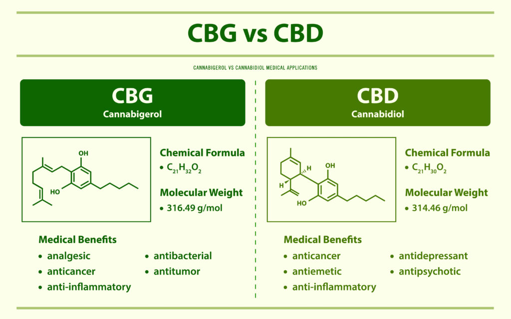 CBG versus CBD Benefits in Medical Cannabis Applications